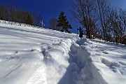 Salita pomeridiana al MONTE SUCHELLO (1541 m) ben innevato da Costa Serina 1l 10 marzo 2016  - FOTOGALLERY